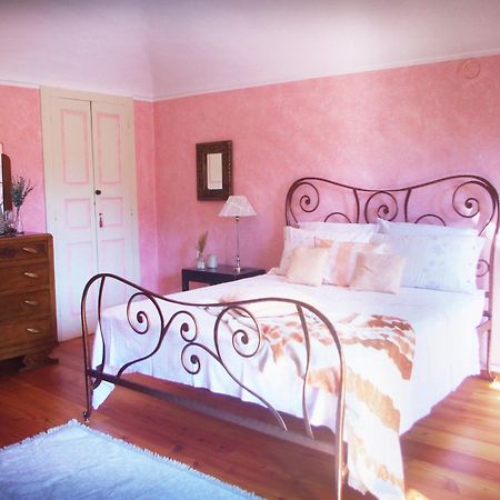 Quick Home - Magnolia Viverone Esterno foto